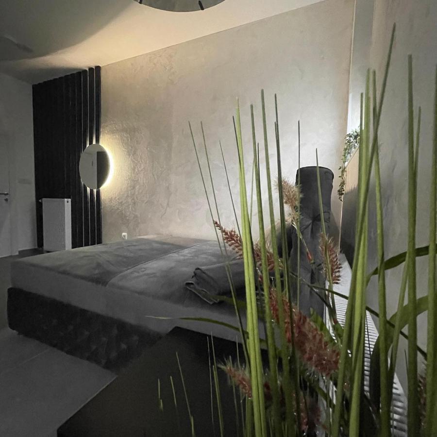 Tepic Garni Hotel Temerin Экстерьер фото